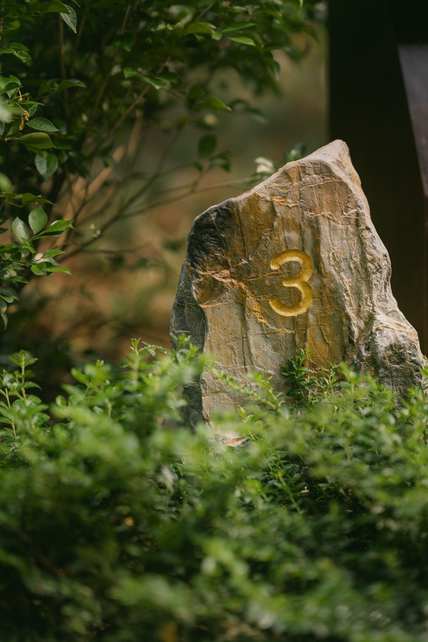 Jiva Hoa Lu Retreat, תמונה 3