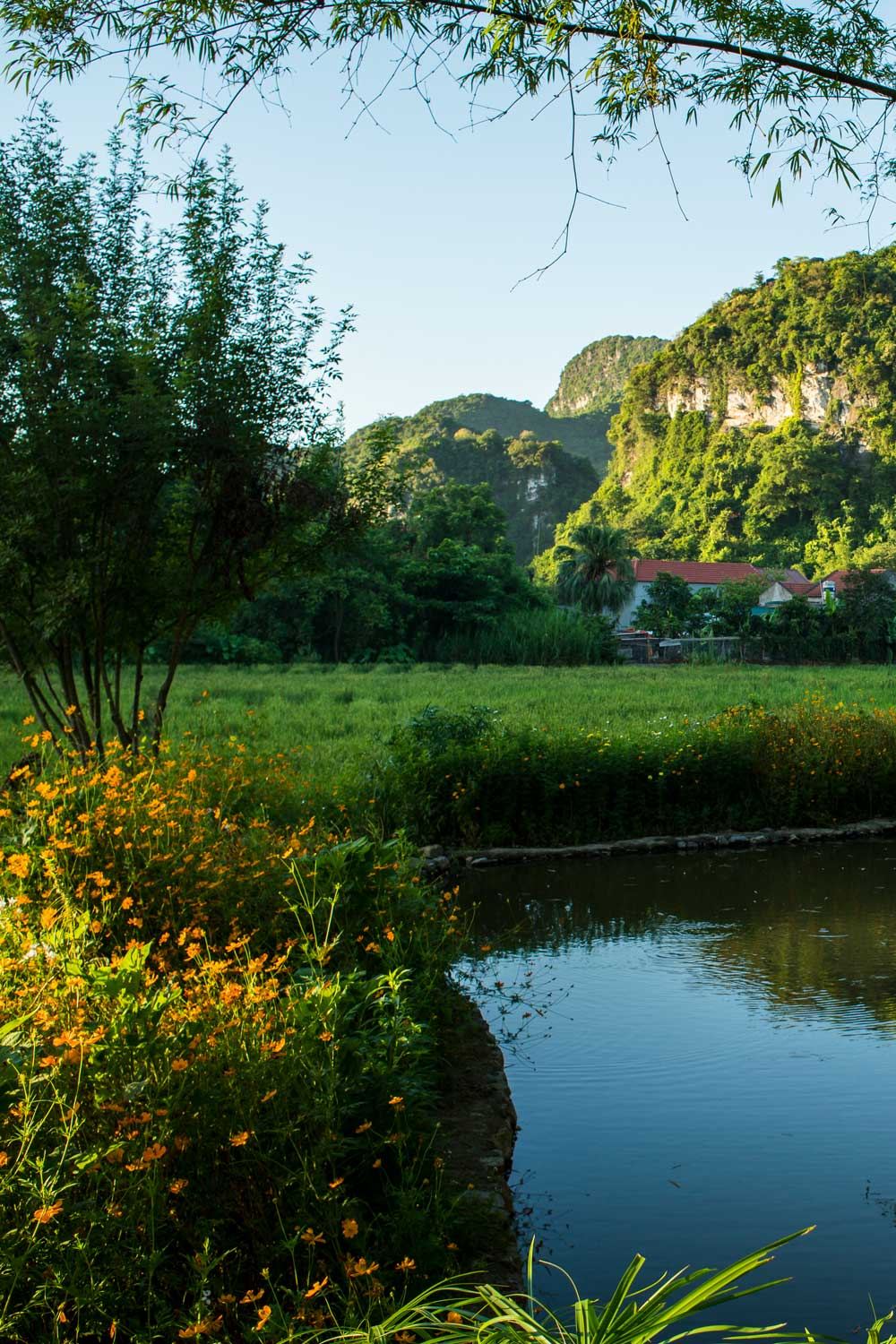 Tam Coc Garden Resort, תמונה 2