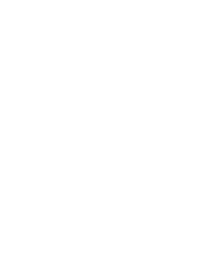 ויאטנמי